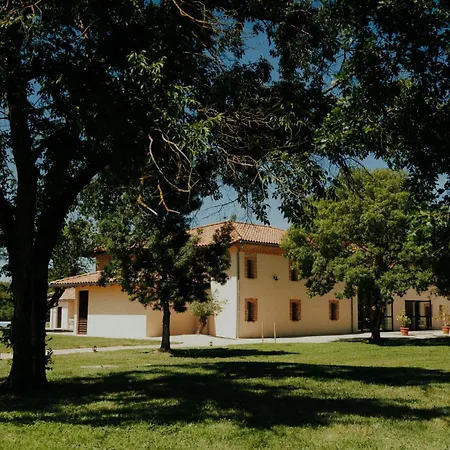 Chateau De La Busquette - Guest house *